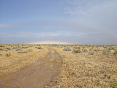 phenomenon_1.jpg (43407 bytes)